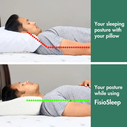 Sanovia™ - FisioSleep